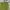 Asos 3d textured photo 2