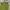 Asos 3d Textured