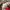 Nike React sepatu nike olahraga sport gym photo 8