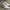 Nike Training Grey sepatu nike olahraga sport gym running photo 1