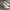 Nike Training Grey Sepatu Nike Olahraga Sport Gym Running