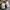 Nike Training Grey sepatu nike olahraga sport gym running photo 4