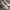 Nike Training Grey sepatu nike olahraga sport gym running photo 5