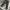Vintage Penmans Washed Jeans photo 2