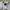Stussy Streetwear Varsity jacket Pria white photo 4