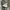 Adidas Streetwear Sneakers Wanita white gray photo 2