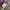 Carhartt - Beanie hat purple photo 2