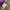 Carhartt - Beanie Hat Purple