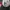New Era Pebble Beach 9Forty Hat topi newera photo 2