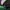 New Era Pebble Beach 9Forty Hat topi newera photo 3