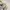 Unknown Abstrac Paterned Shirt photo 6