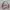 MAX STUDIO MOHAIR SWEATER KNIT photo 1