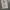 BAGGY JEANS RIPPED GREY photo 8