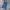 Dickies USA - 874 work pants | Air force blue photo 4