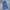 Dickies USA - 874 Work Pants | Air Force Blue