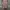 Agnes B Multicolor Midi Dress photo 3
