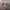 Agnes B Multicolor Midi Dress photo 1