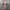 Agnes B Multicolor Midi Dress