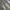 BAGGY JEANS GREYWASHED photo 5