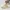 Nike Grunge Cosplay Sneakers Wanita yellow photo 2