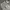 BAGGY JEANS GREY photo 5