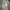 BAGGY JEANS GREY photo 4