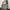 BAGGY JEANS LIGHTGREY  photo 3
