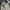 BAGGY JEANS LIGHTGREY  photo 6