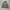 Adidas Sportswear Casual Track jacket Pria green gray photo 1