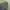 Adidas Sportswear Casual Track jacket Pria green gray photo 2