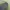 Adidas Sportswear Casual Track Jacket Pria Green Gray