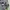 Adidas Sportswear Casual Track jacket Pria green gray photo 3
