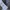 Thom Browne Streetwear Casual Casual shirt Pria multicolor photo 5