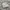 Nike Air Jordan 1 Low Paris photo 1
