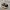 Vans Sk8 Low Black White photo 3