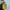 Fjallraven kanken - Sling bag | Mustard photo 2