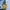 Fjallraven kanken - Sling bag | Mustard photo 1