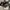 Converse Streetwear Gorpcore Sneakers Wanita black photo 6