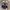 Converse Streetwear Gorpcore Sneakers Wanita black photo 2