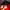 Adidas Casual Track jacket Pria red photo 5