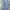 Levi's Lot501 Regular Straight Blue Denim photo 2