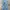 Levi's Lot501 Regular Straight Blue Denim