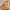 Timberland Streetwear Boots Pria yellow photo 1