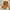 Timberland Streetwear Boots Pria yellow photo 2