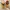 Timberland Streetwear Boots Pria yellow photo 3