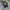 Adidas Streetwear Sportswear Jersey Pria multicolor photo 2