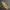 Vintage Y2K Casual pants Pria gold yellow photo 1