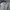 Le Coq Sportif Vintage Casual Varsity jacket Wanita gray photo 3