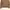 Carhartt Streetwear Bomber jacket Pria khaki photo 3