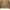 Carhartt Streetwear Bomber jacket Pria khaki photo 7